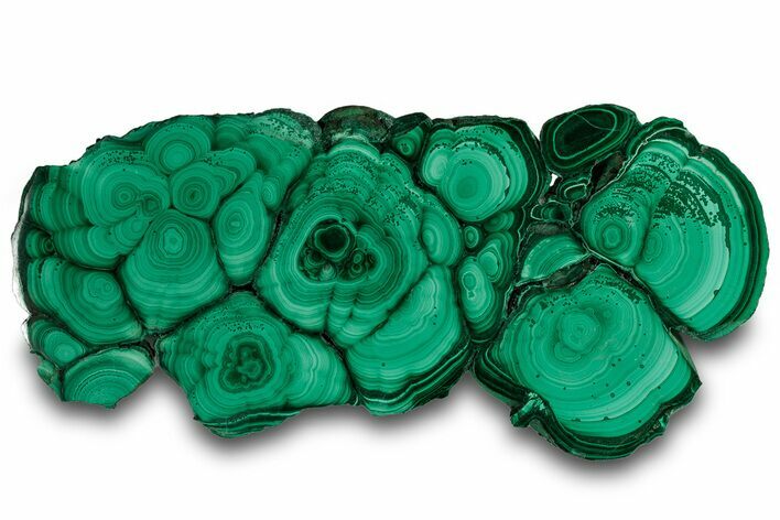 Flowery Polished Malachite Slab - DR Congo #319843
